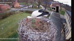 IMG_5703.jpeg