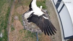 IMG_4573.jpeg