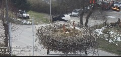IMG_4506.jpeg