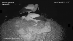 05-04'25 Jasień 22'27'20 III Jajko.png