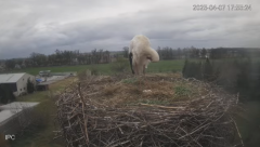 2025-04-07 23_05_35-Bociany - Raszków - YouTube - Maxthon.png