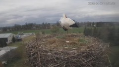 2025-04-07 23_06_03-Bociany - Raszków - YouTube - Maxthon.png