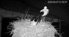 IMG_4706.jpeg