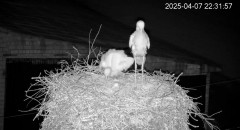 IMG_4707.jpeg