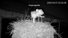 IMG_4710.jpeg