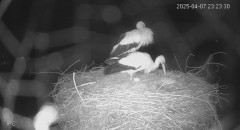 IMG_4712.jpeg