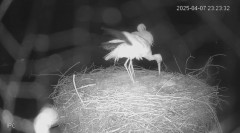 IMG_4713.jpeg