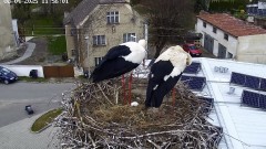 IMG_4818.jpeg