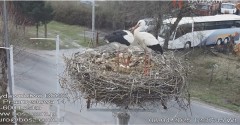 IMG_4861.jpeg
