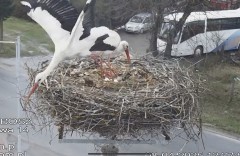 IMG_4864.jpeg