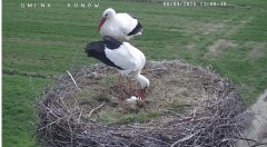IMG_4881.jpeg