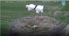 IMG_4885.jpeg