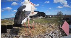 IMG_4925.jpeg