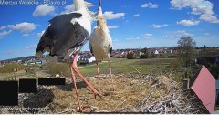 IMG_4928.jpeg