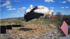 IMG_4935.jpeg