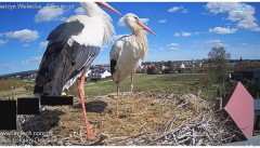 IMG_4937.jpeg