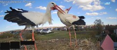 IMG_4942.jpeg