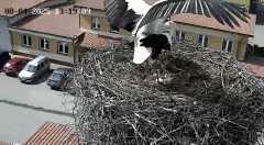 IMG_4919.jpeg