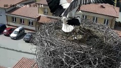 IMG_4922.jpeg
