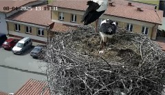 IMG_4933.jpeg