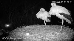 IMG_4851.jpeg