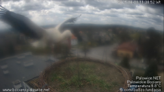 palowice-2025-04-08.png