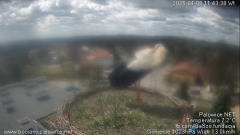 palowice-2025-04-08-3.png