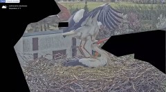 IMG_4771.jpeg