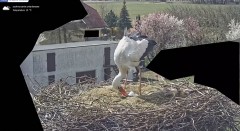 IMG_4806.jpeg