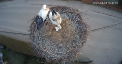 IMG_4741.jpeg
