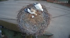 IMG_4742.jpeg
