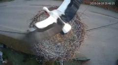 IMG_4743.jpeg