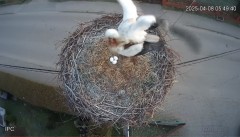 IMG_4749.jpeg