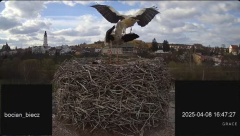 2025-04-08 18_20_54-Bociany Biecz - YouTube - Maxthon.png
