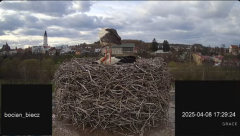 2025-04-08 18_21_17-Bociany Biecz - YouTube - Maxthon.png
