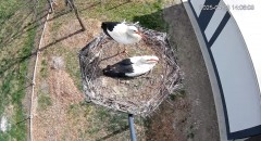 IMG_5065.jpeg