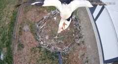 IMG_5069.jpeg