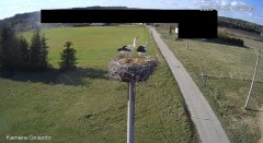IMG_5070.jpeg