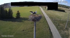 IMG_5071.jpeg