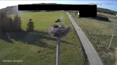 IMG_5073.jpeg