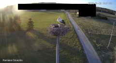 IMG_5074.jpeg