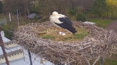 IMG_4739.jpeg