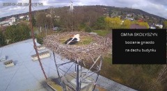 IMG_4761.jpeg