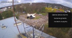 IMG_4762.jpeg