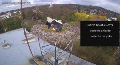 IMG_4764.jpeg