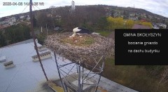 IMG_5093.jpeg