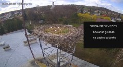 IMG_5094.jpeg