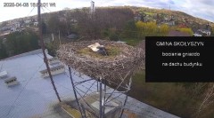 IMG_5095.jpeg