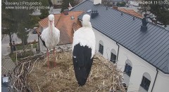 IMG_4812.jpeg