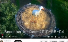 Pierwszy ciekawski w 2019 r odleciał